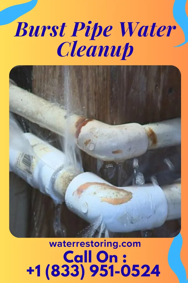 Burst Pipe Water Cleanup in Orchard Hills, PA