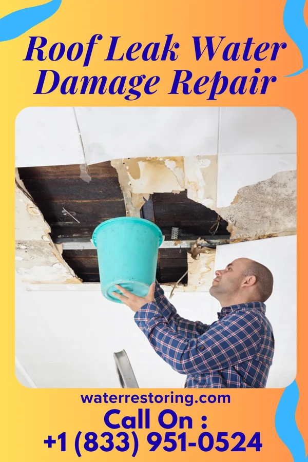 Roof Leak Water Damage Repair in Orchard Hills, PA