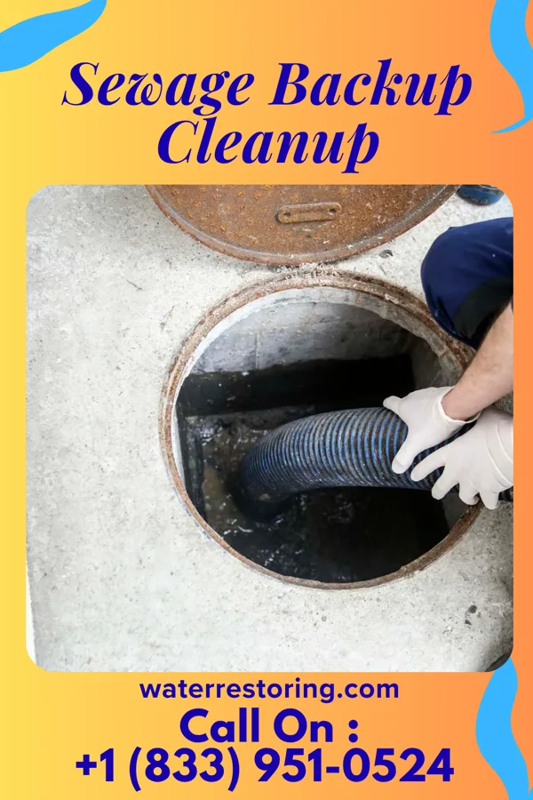 Sewage Backup Cleanup in Orchard Hills, PA