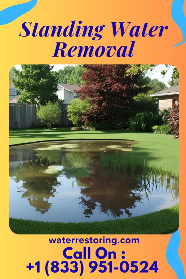 Standing Water Removal in Orchard Hills, PA
